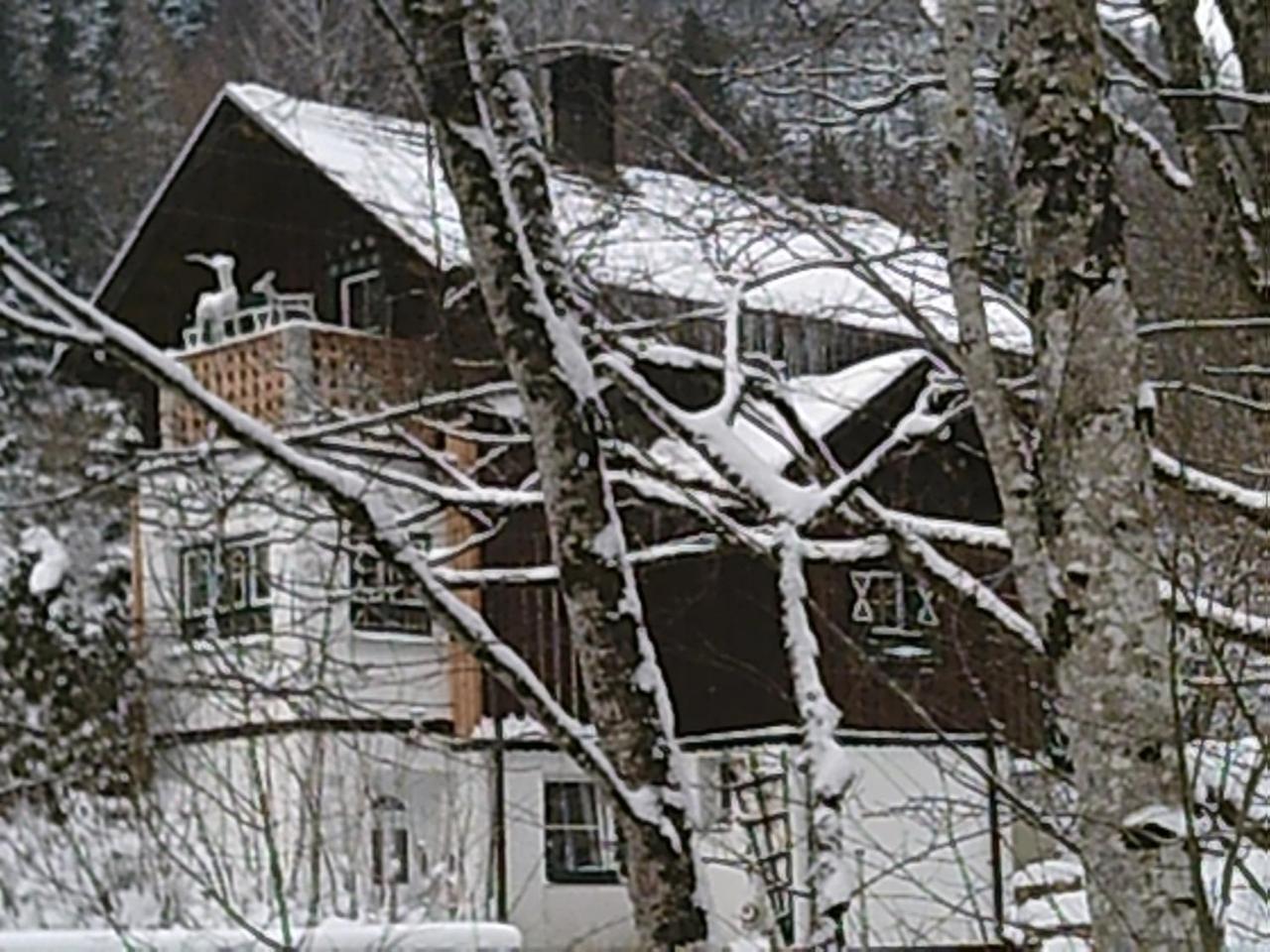 Georges Rast Vila Altaussee Exterior foto