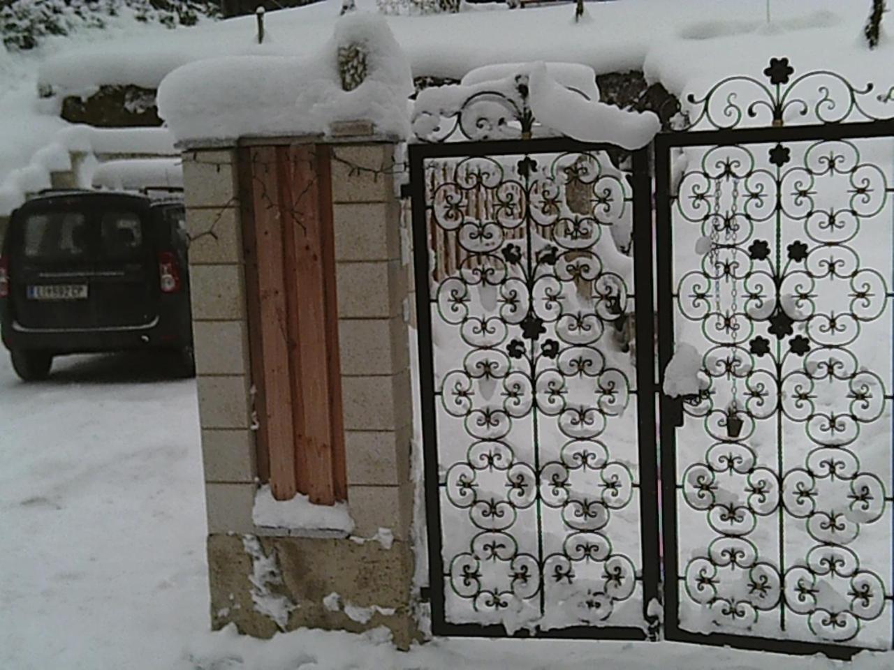 Georges Rast Vila Altaussee Exterior foto