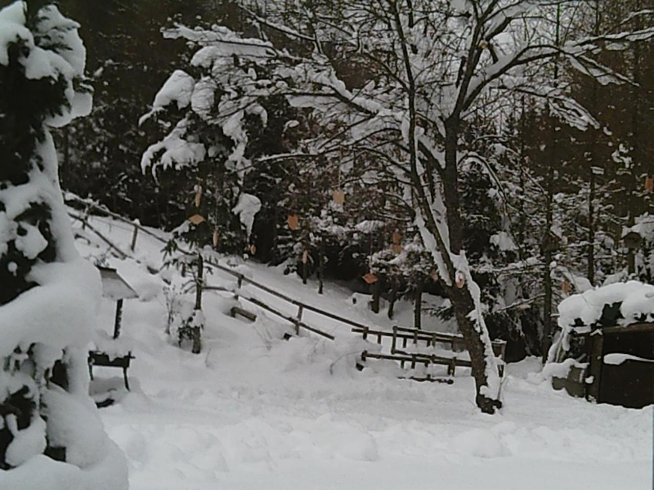 Georges Rast Vila Altaussee Exterior foto