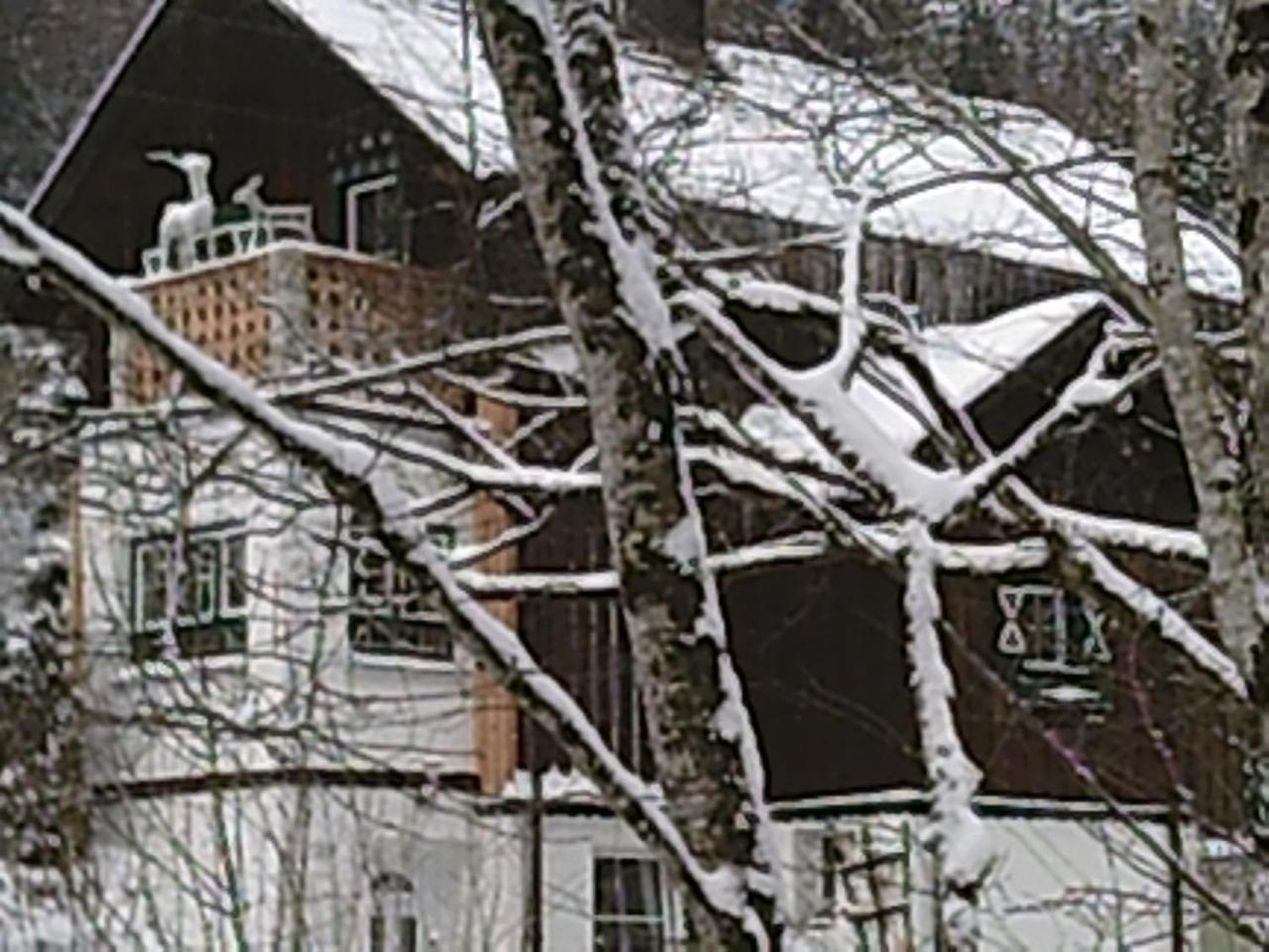 Georges Rast Vila Altaussee Exterior foto
